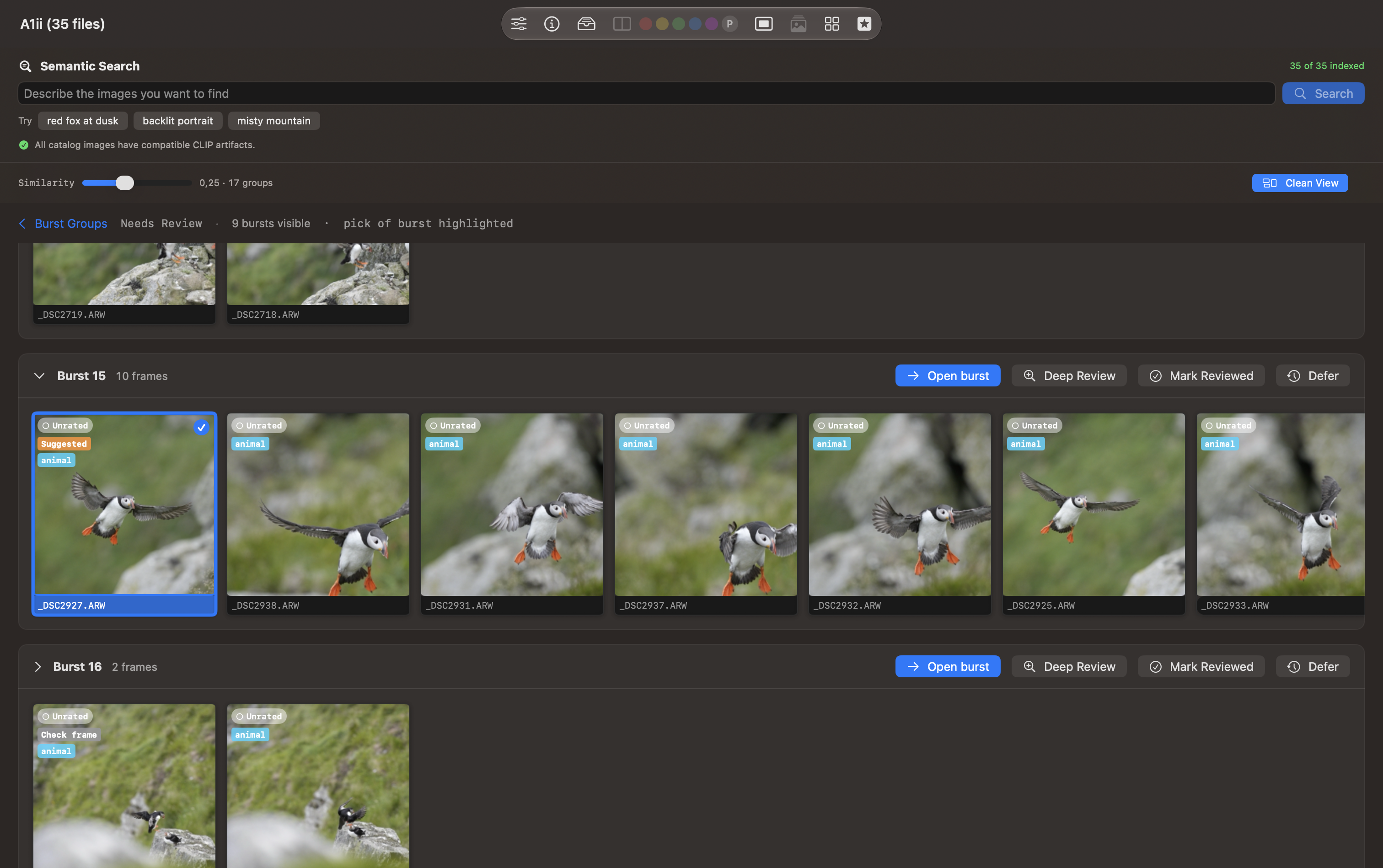 Burst list with grouped puffin sequences and a suggested pick