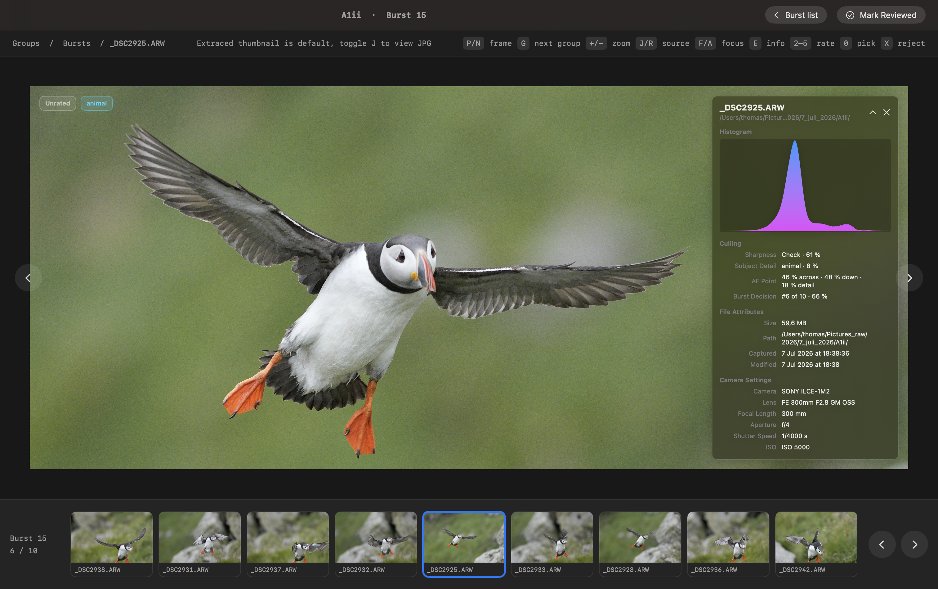 Burst reviewer comparing a puffin sequence with a large preview, filmstrip, and scoring details