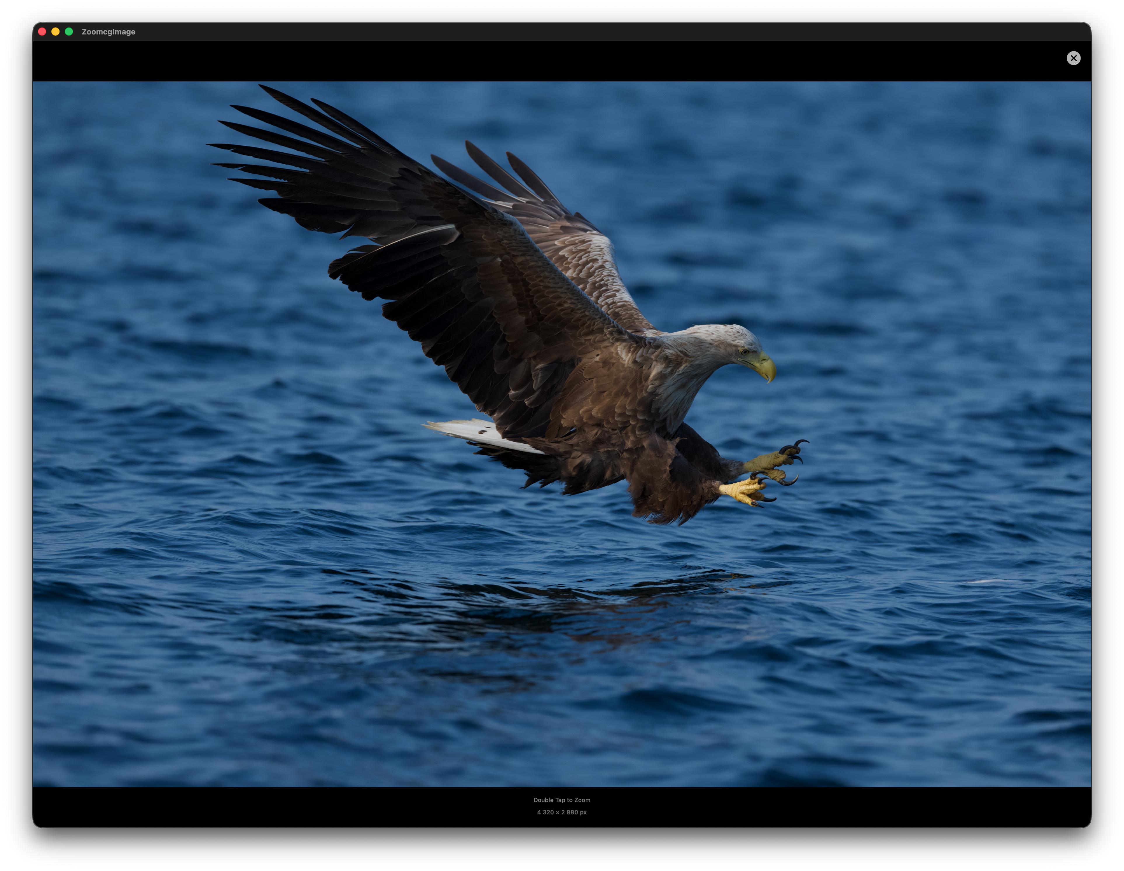 RawCull startup screen