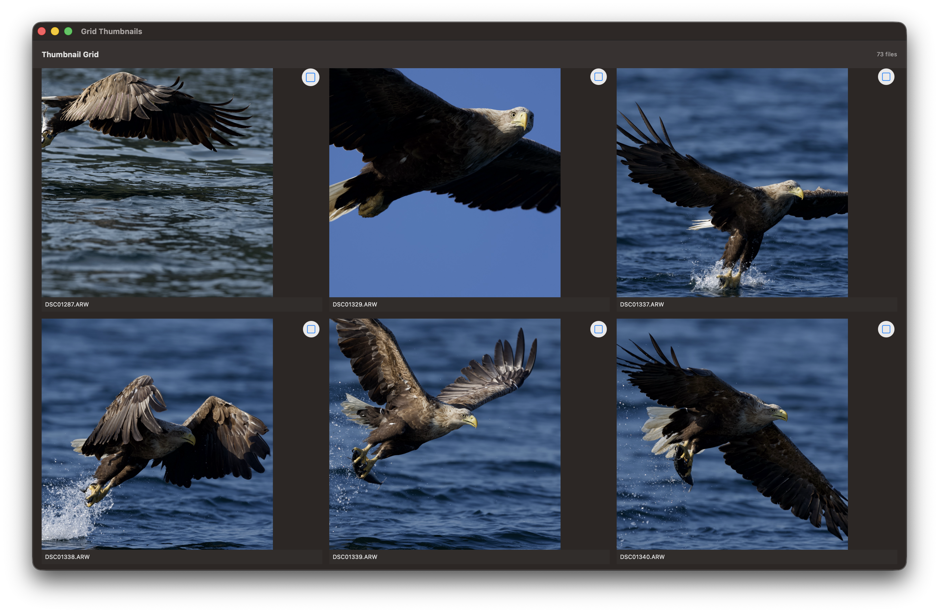 RawCull startup screen