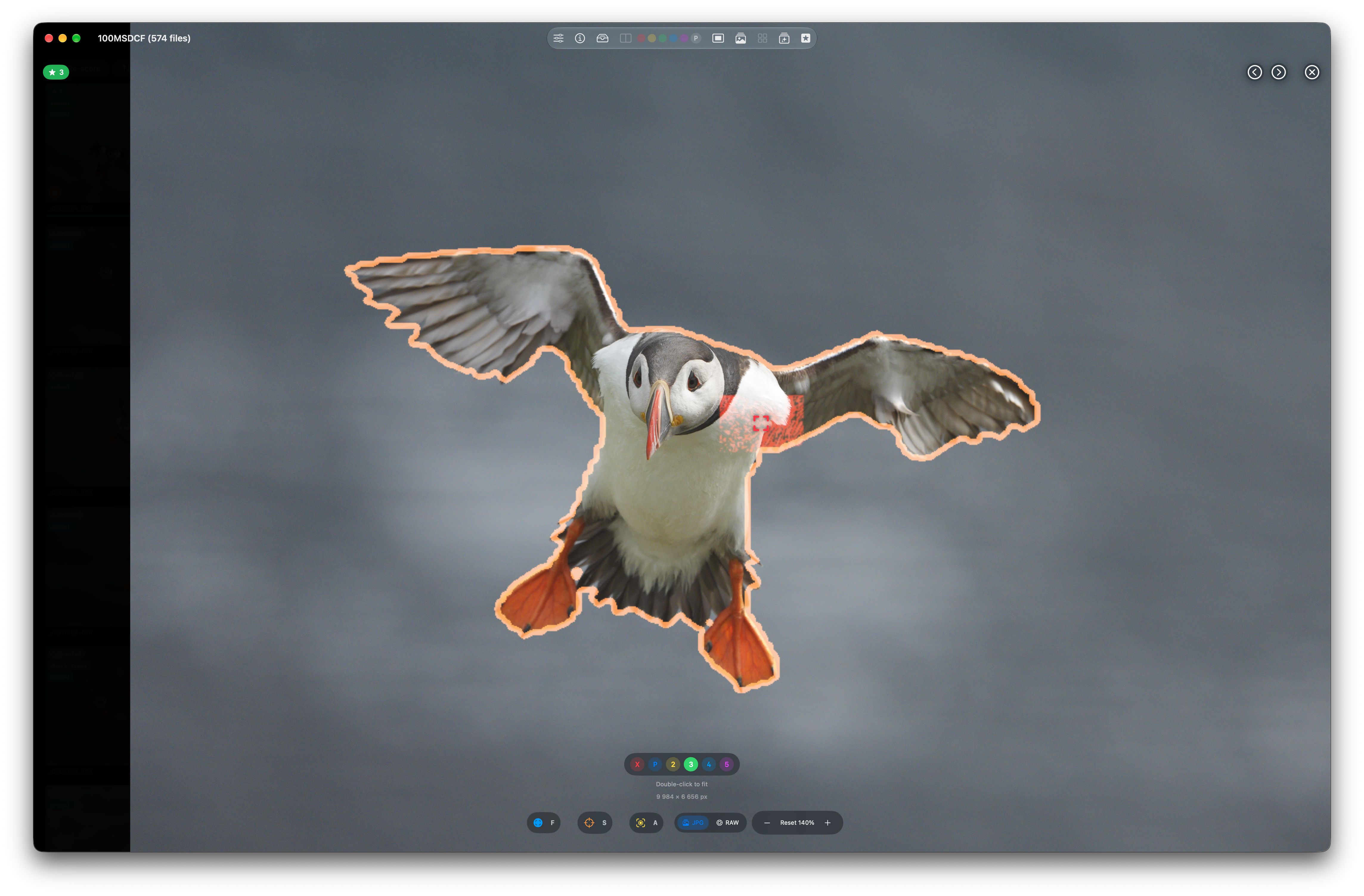 Full-window puffin preview with the camera autofocus point and focus-mask detail overlays visible