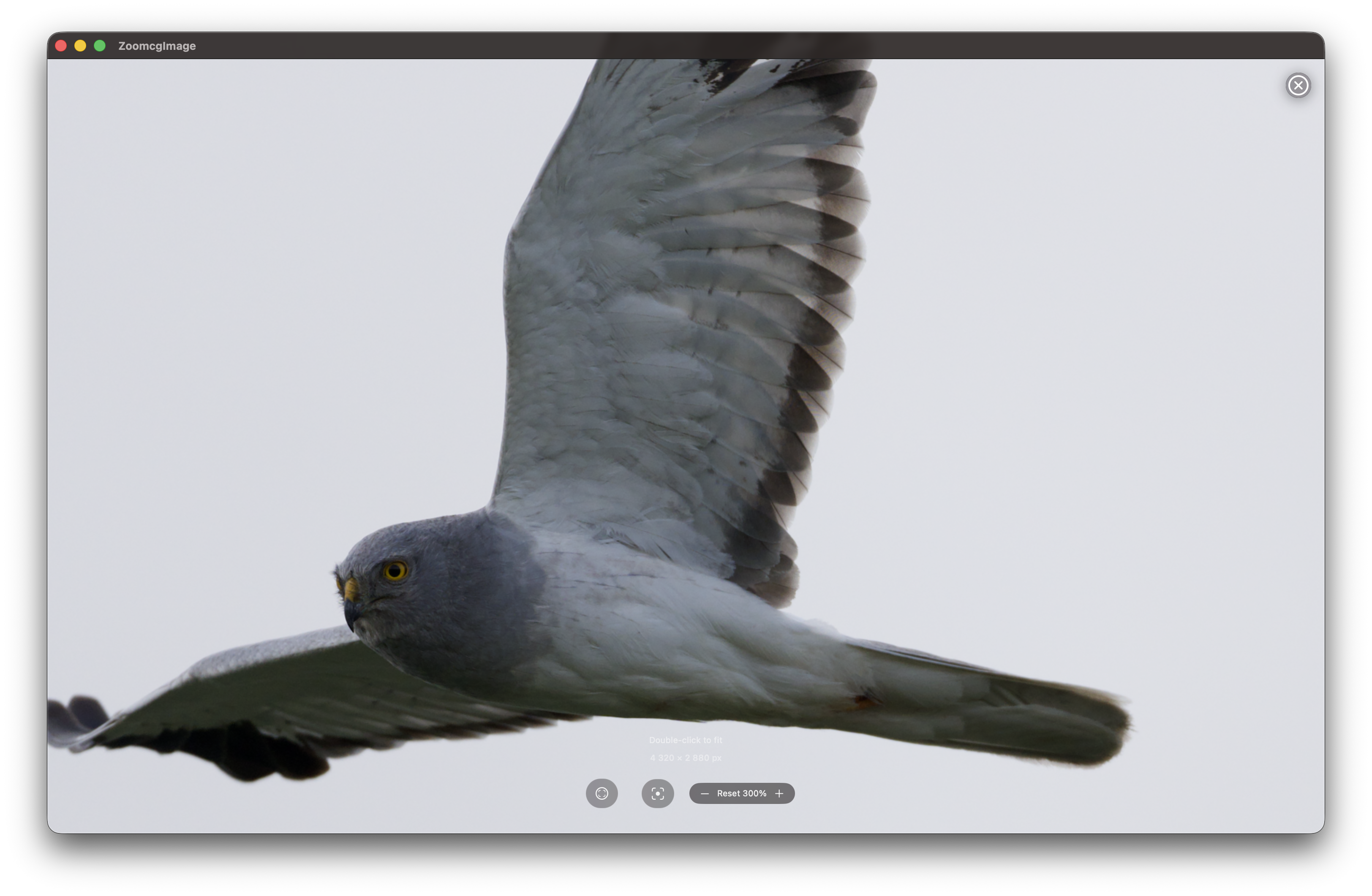 RawCull scanning photo library