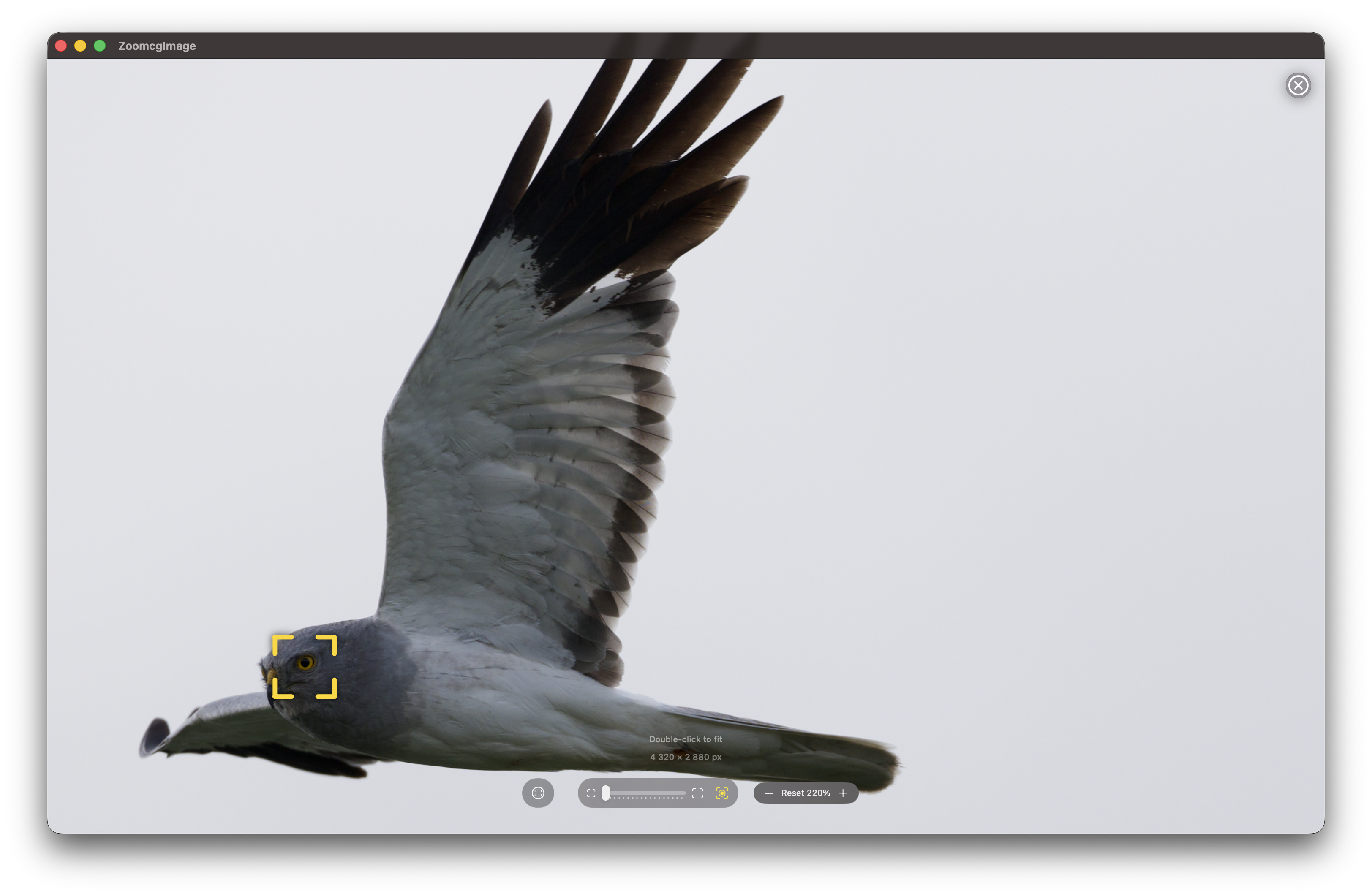 RawCull scanning photo library