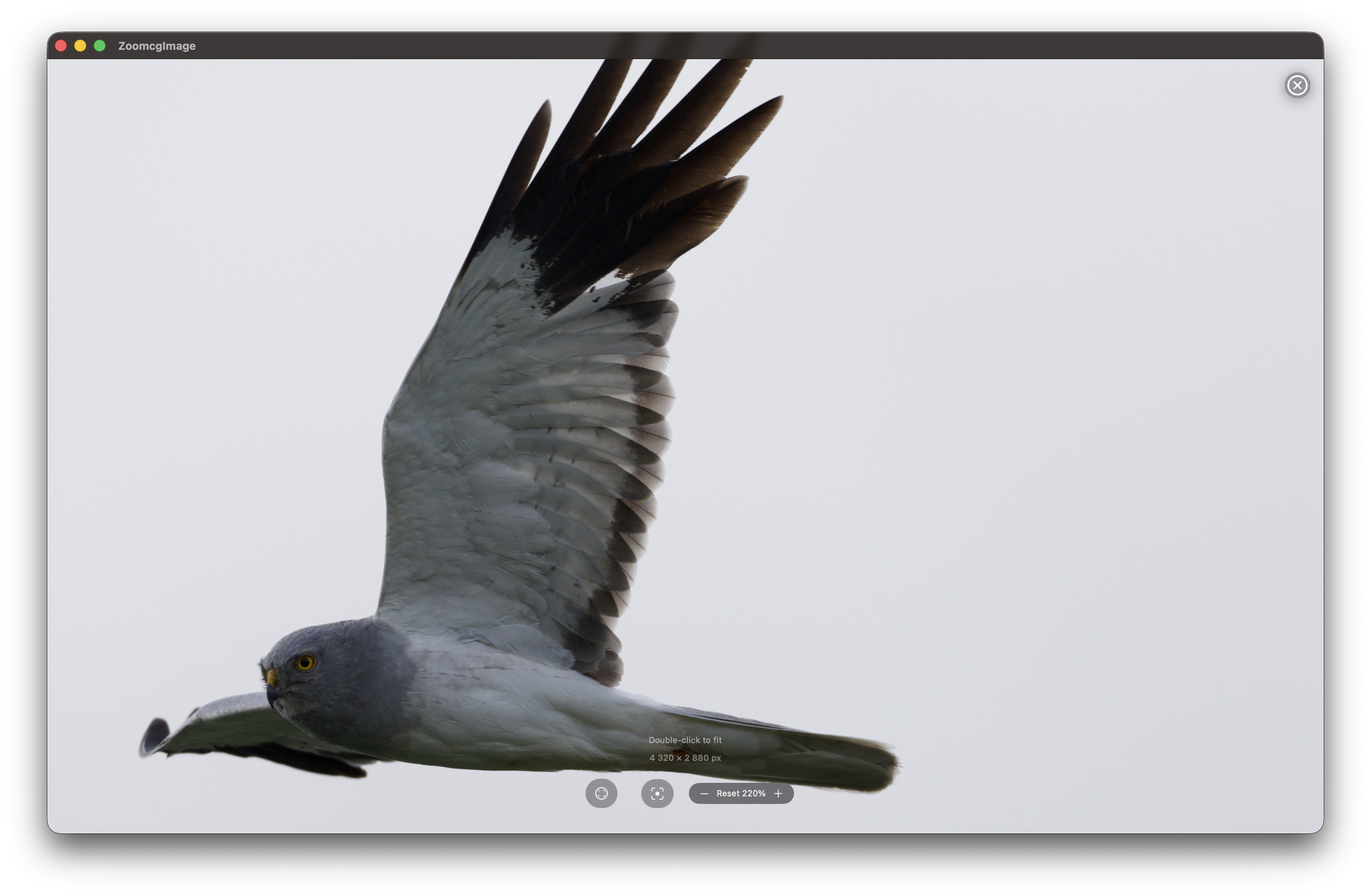 RawCull scanning photo library