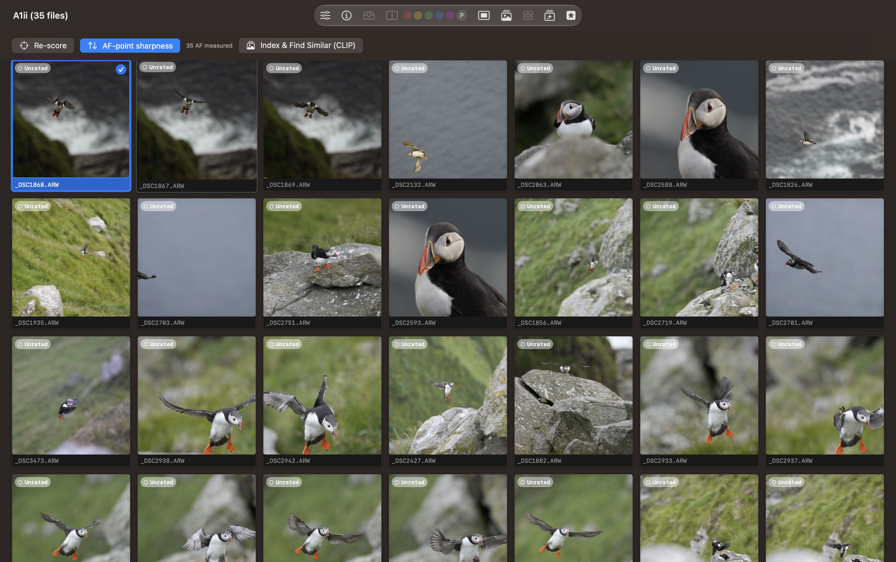 Puffin grid sorted by AF-point sharpness with 35 autofocus measurements