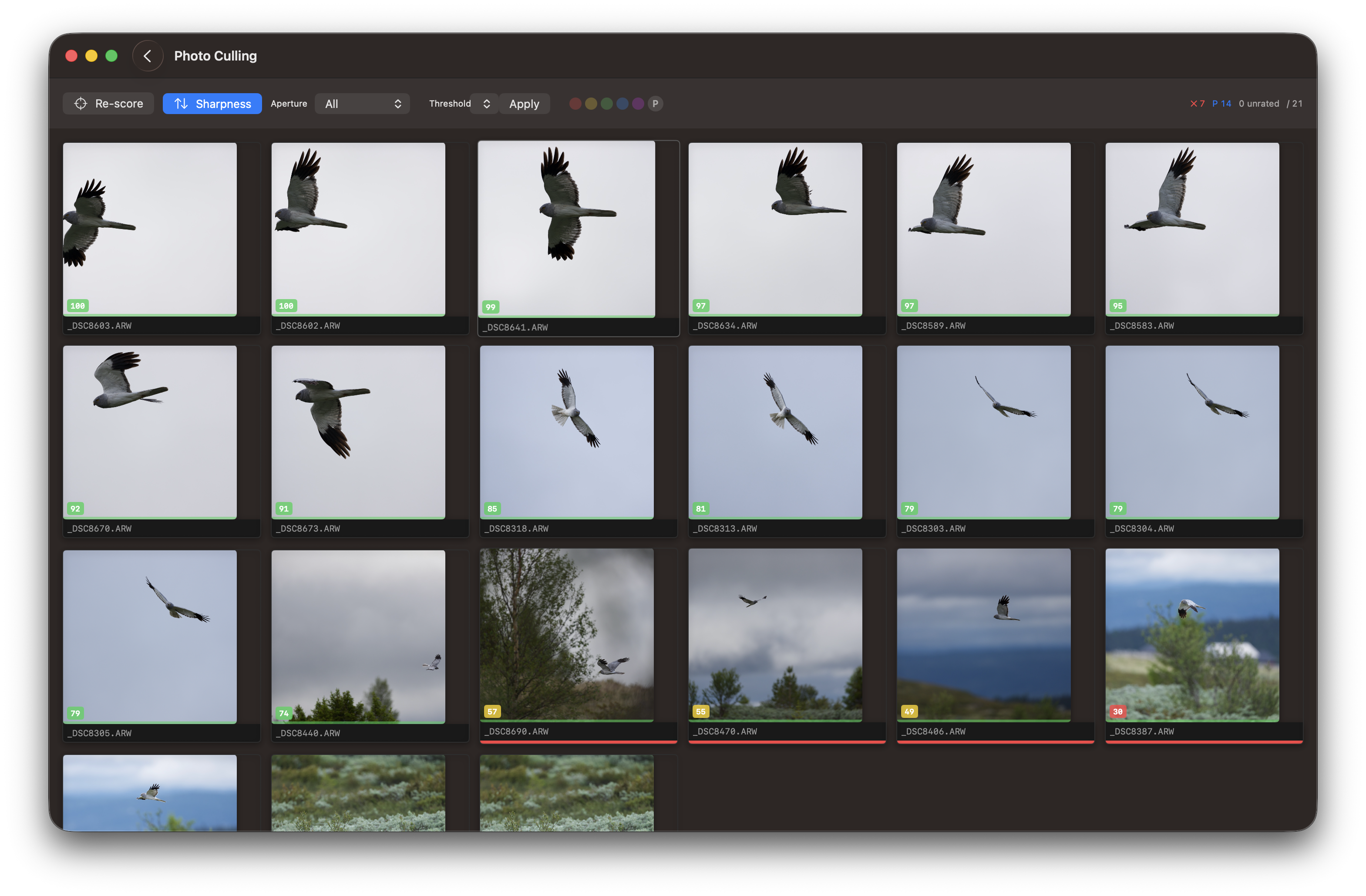 RawCull library after scanning