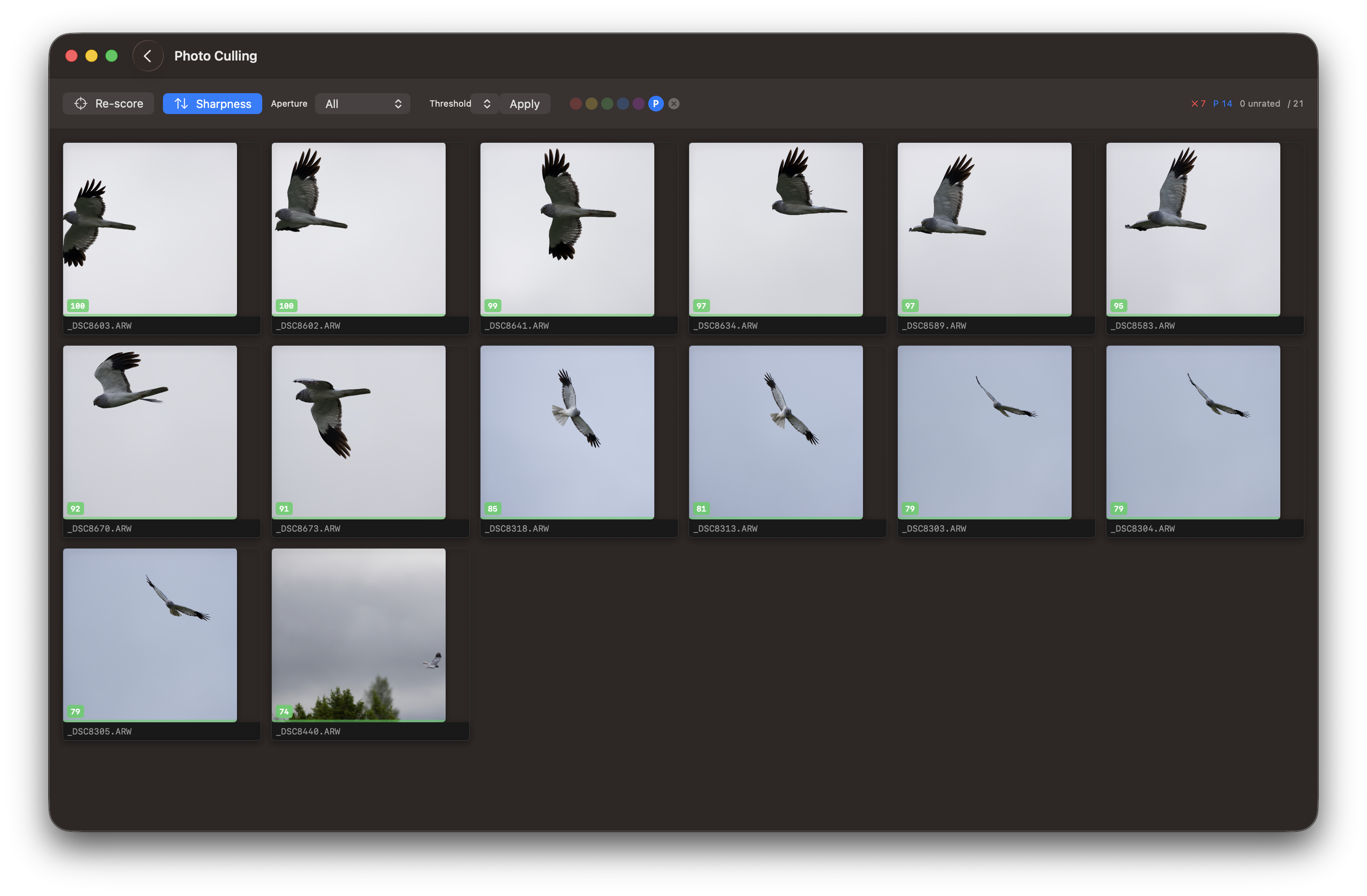 RawCull library after scanning