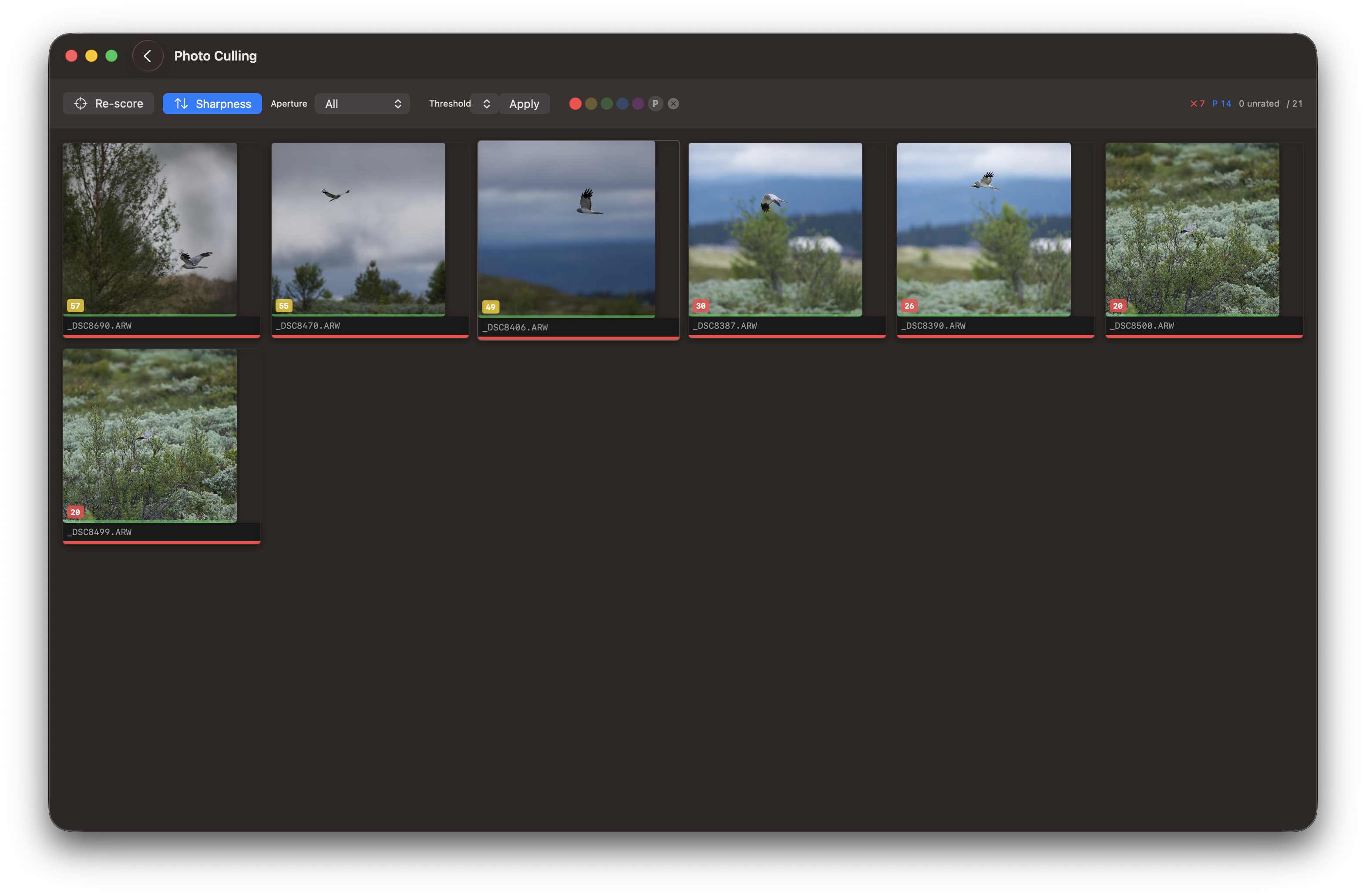 RawCull library after scanning