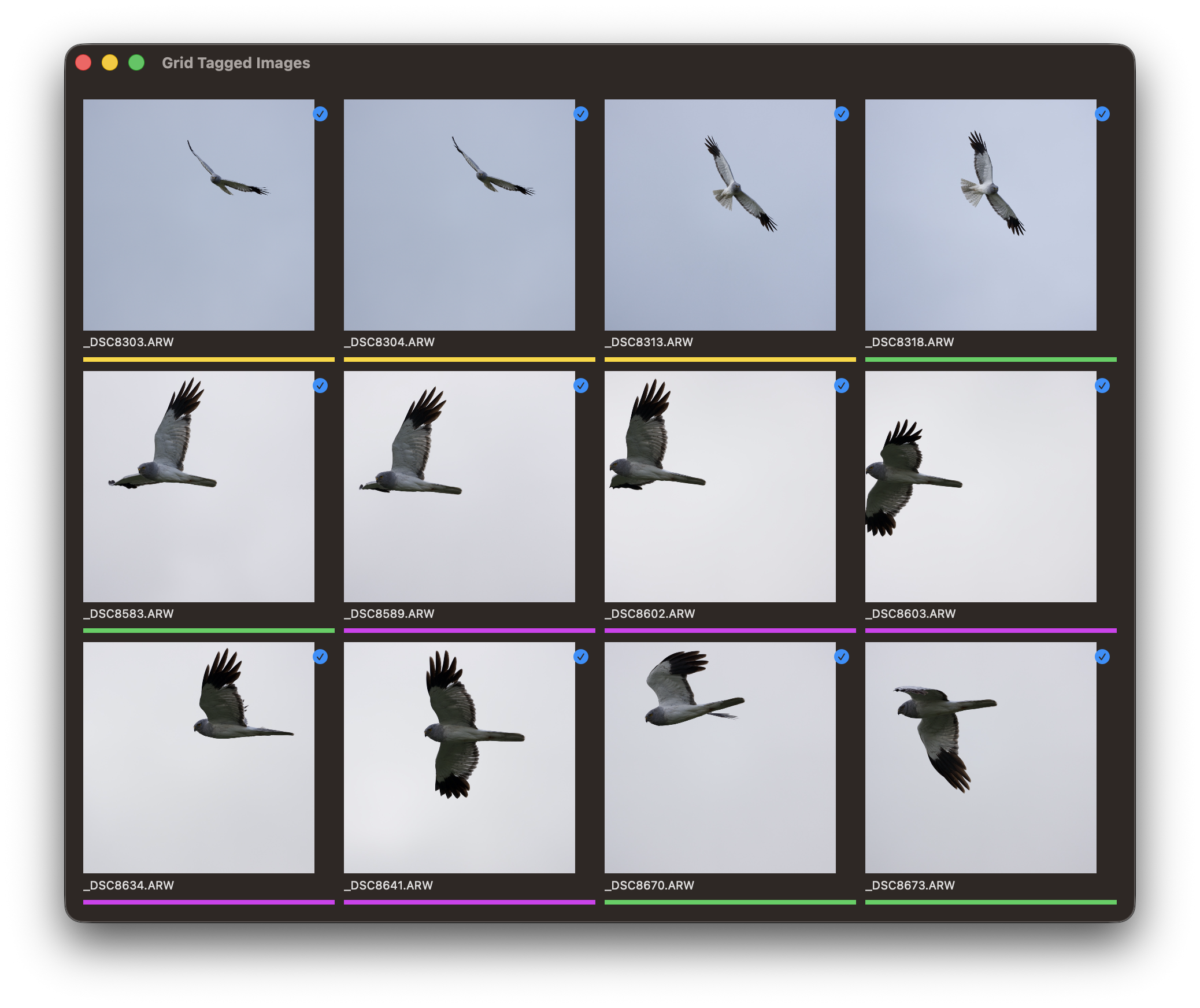 RawCull library after scanning