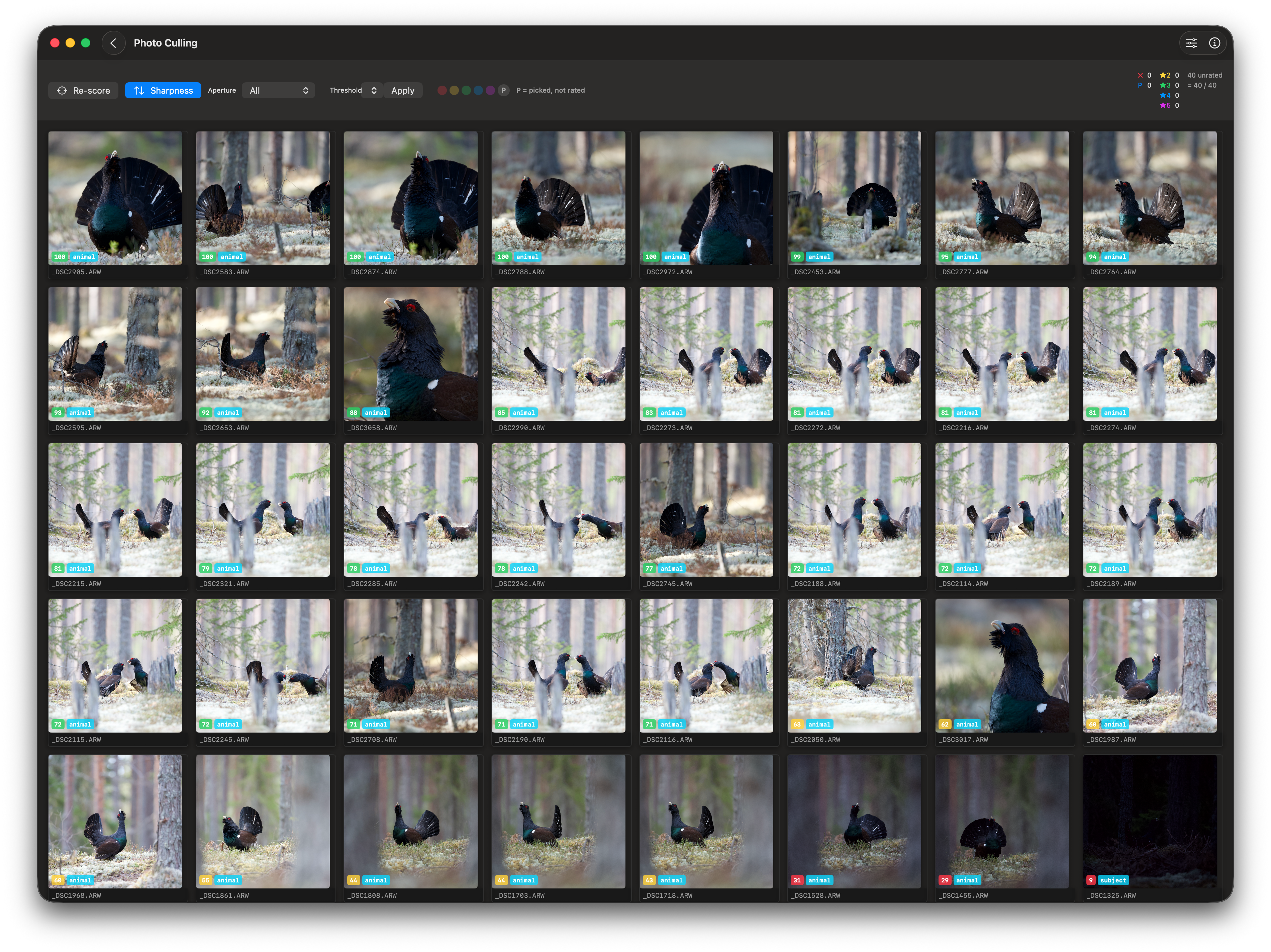 RawCull startup screen