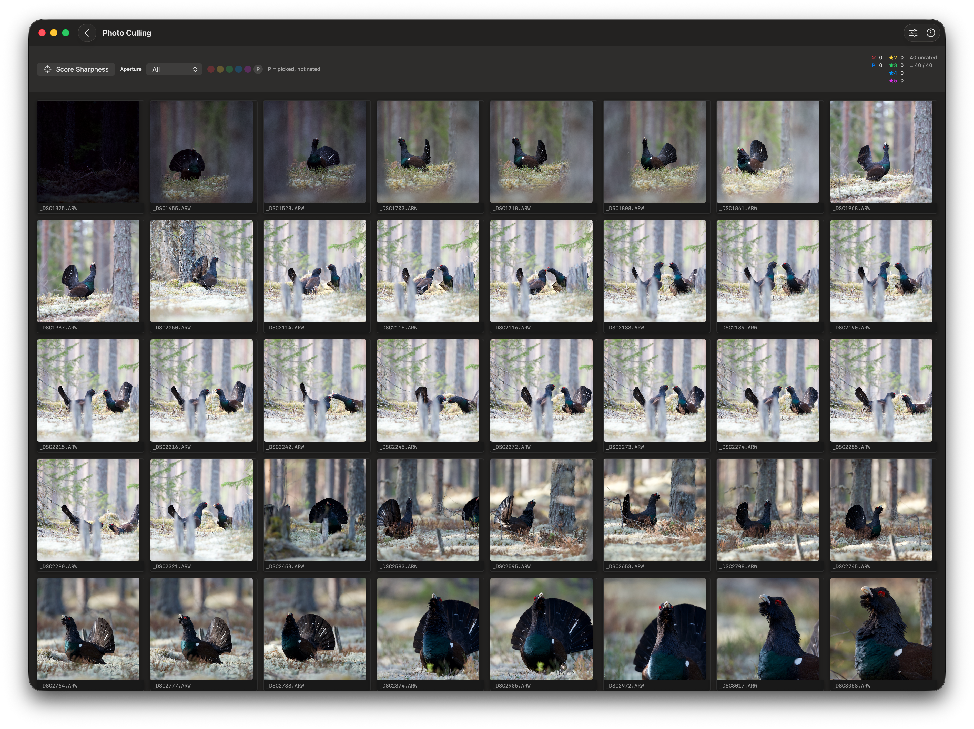 RawCull startup screen