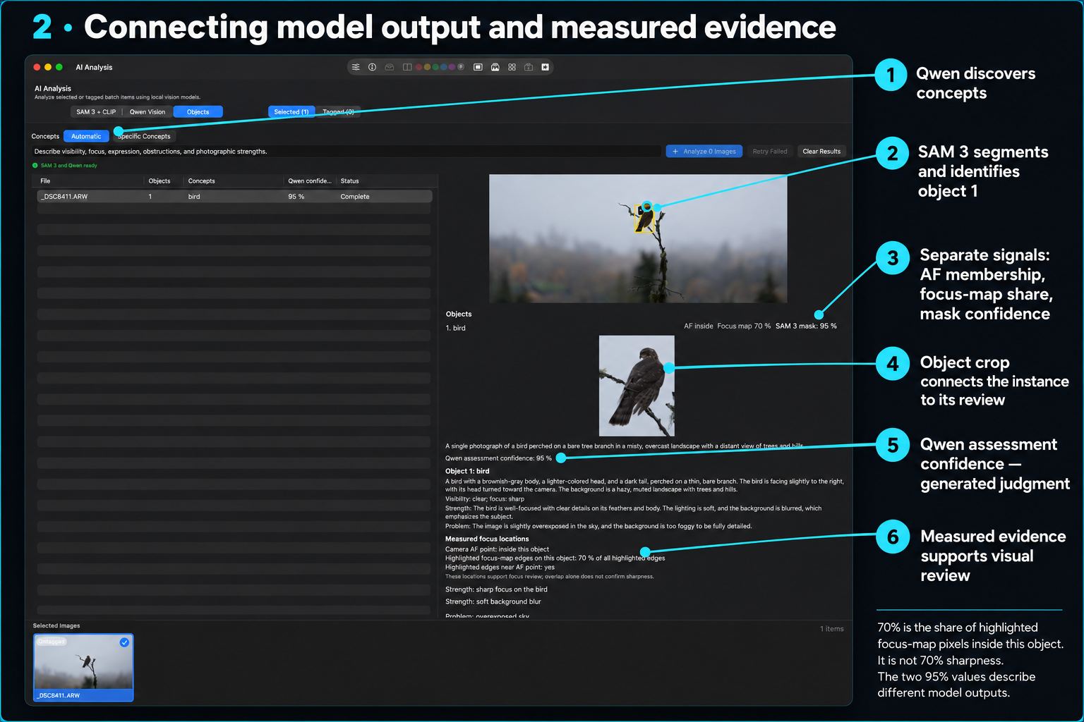 Annotated Objects results showing concept discovery, object segmentation, focus evidence, the object crop, and Qwen assessment.