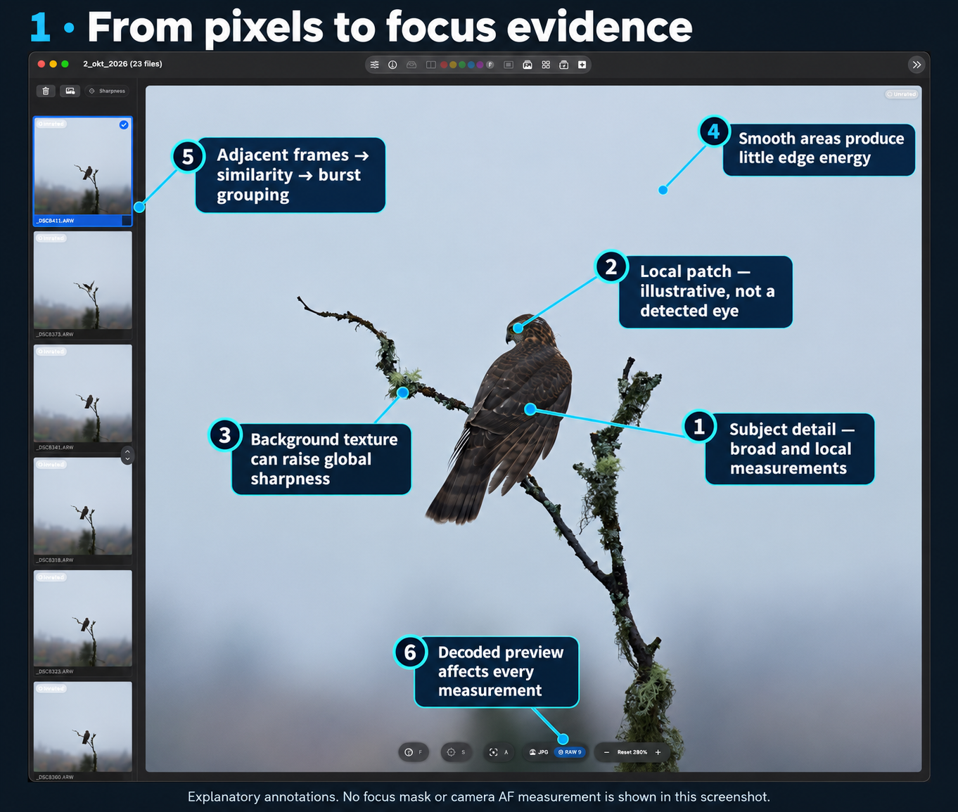 Annotated zoom view connecting subject detail, background texture, smooth areas, neighboring frames, and preview selection.